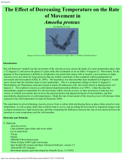 The Effect of Decreasing Temperature on the Rate of Movement in