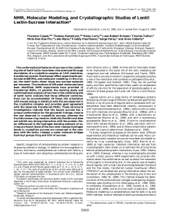 NMR, Molecular Modeling, and Crystallographic Studies of Lentil