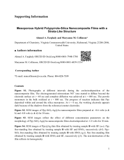 Supporting Information