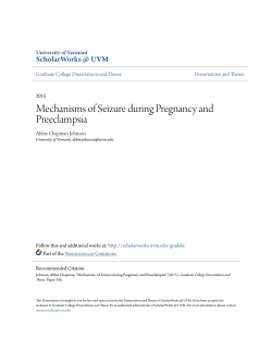 Mechanisms of Seizure during Pregnancy and Preeclampsia