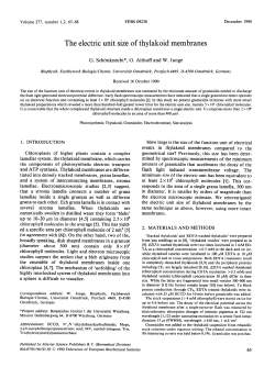 The electric unit size of thylakoid membranes
