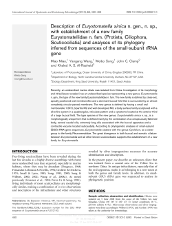 Description of Eurystomatella sinica n. gen., n. sp., with