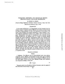 filtration, diffusion, and molecular sieving