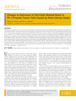Changes in expression of cell-cycle-related genes in PC