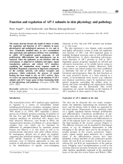Function and regulation of AP-1 subunits in skin physiology