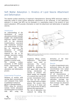 Soft Matter Adsorption 1: Kinetics of Lipid Vesicle