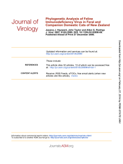 Companion Domestic Cats of New Zealand Immunodeficiency Virus