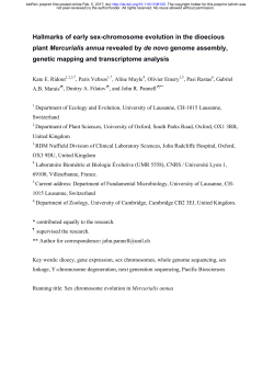 Hallmarks of early sex-chromosome evolution in the