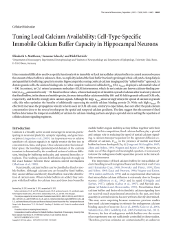 PDF - Journal of Neuroscience