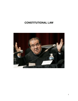 Constitutional Law 1- Morrison- Spring 2014