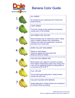 Banana Color Guide
