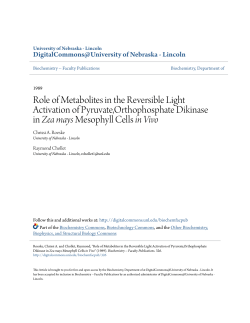 Role of Metabolites in the Reversible Light Activation of Pyruvate