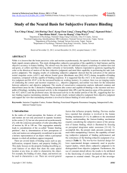 Study of the Neural Basis for Subjective Feature Binding