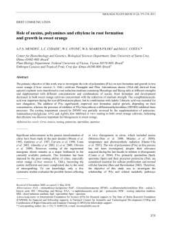 Role of auxins, polyamines and ethylene in root formation