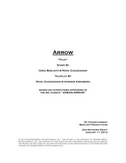 Arrow Pilot - Zen 134237