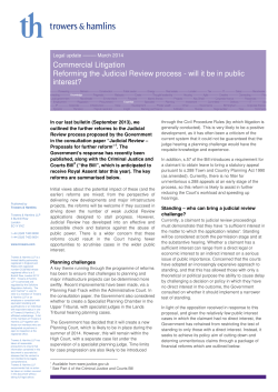 Commercial Litigation Reforming the Judicial Review process