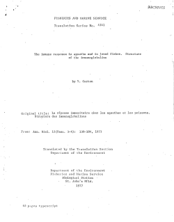 rARCHIVES