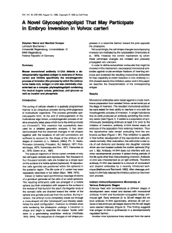 A Novel Glycosphingolipid That May Participate in Embryo Inversion