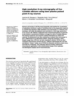High resolution X-ray micrography of live Candida