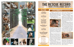 Nov 2013 - Frisky`s Wildlife and Primate Sanctuary, Inc.