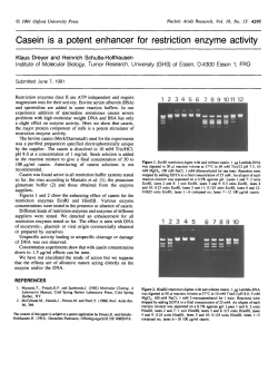 Casein is a potent enhancer for restriction enzyme activity