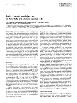 Indirect mitotic nondisjunction in - ART