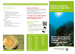 Guidelines for gathering Scallops and Dredge Oysters