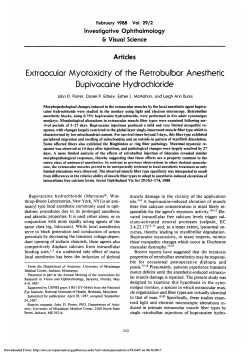 Extraocular myotoxicity of the retrobulbar anesthetic