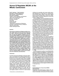Aurora B Regulates MCAK at the Mitotic Centromere