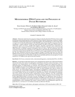 MITOCHONDRIAL DNA CLOCKS AND THE PHYLOGENY OF