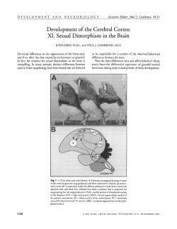 Sexual Dimorphism in the Brain