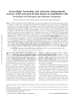 Extracellular Nucleotides and Adenosine Independently Activate