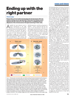 Ending up with the right partner