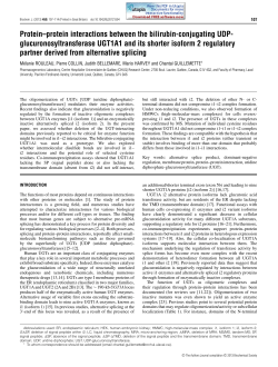 Protein&ndash;protein interactions between the bilirubin