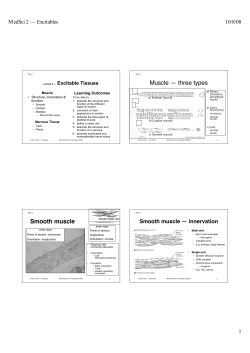Muscle &mdash; three types Smooth muscle