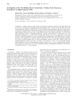 Investigation of the Mn Binding Site in Cytochrome c Oxidase from