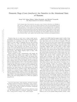 Domestic Dogs (Canis familiaris)