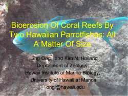 The importance of parrotfishes as bioeroders and sand producers in