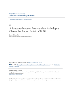 A Structure-Function Analysis of the Arabidopsis Chloroplast Import
