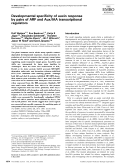 Developmental specificity of auxin response by pairs of ARF and