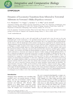 Dynamics of Locomotor Transitions from Arboreal to Terrestrial