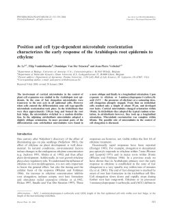 Position and cell type-dependent microtubule reorientation