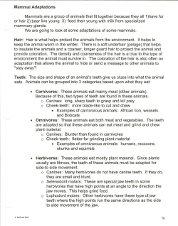 Animal Adaptations