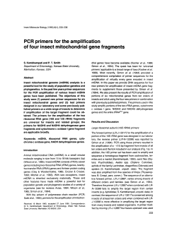 PCR primers for the amplification of four insect mitochondrial gene
