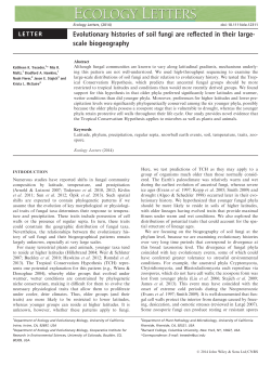 Evolutionary histories of soil fungi are reflected in their large