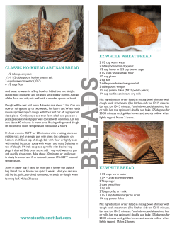 EZ WHOLE WHEAT BREAD EZ WHITE BREAD CLASSIC NO