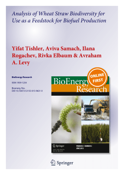 Analysis of wheat straw biodiversity for use as a feedstock for biofuel