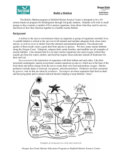 Build a Habitat - Hatfield Marine Science Center