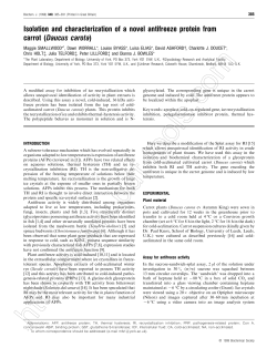 Read technical report here.