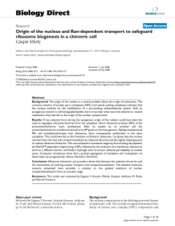 Origin of the nucleus and Ran-dependent transport to safeguard